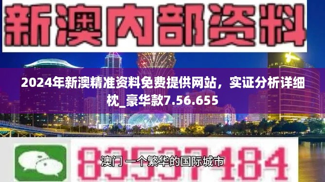 新澳2024年精准资料,专业执行解答_DP58.229