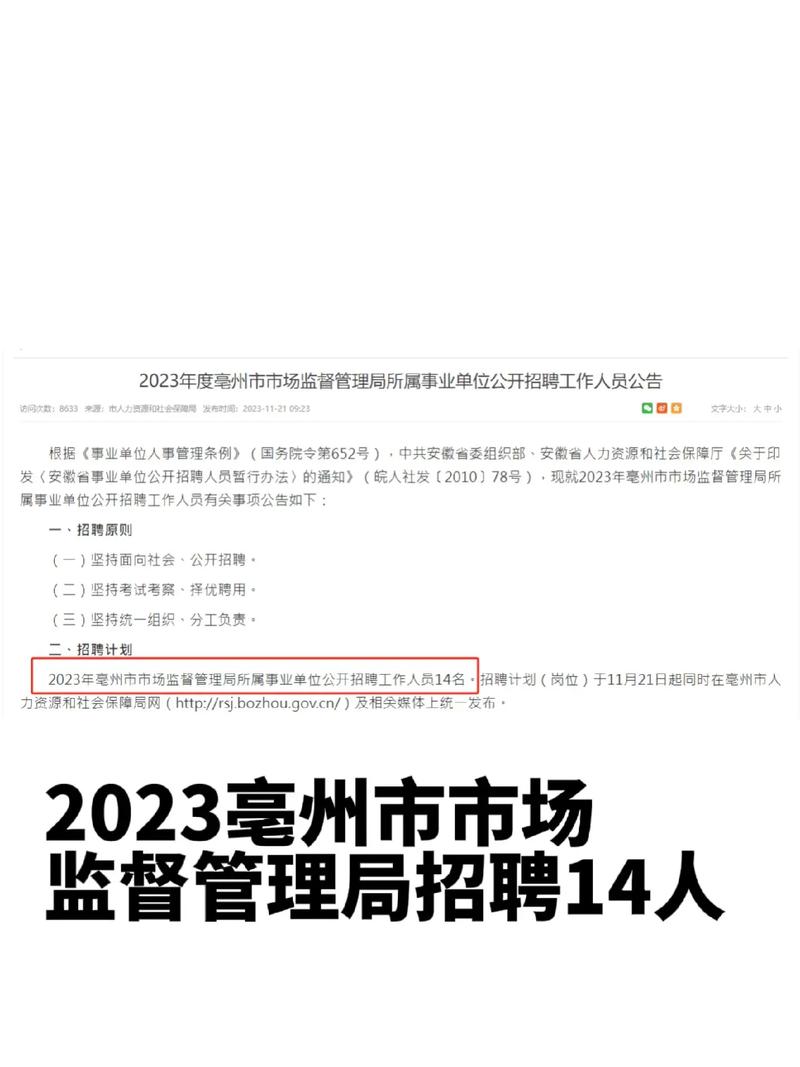 2025年1月15日 第29页